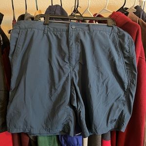 The north face shorts